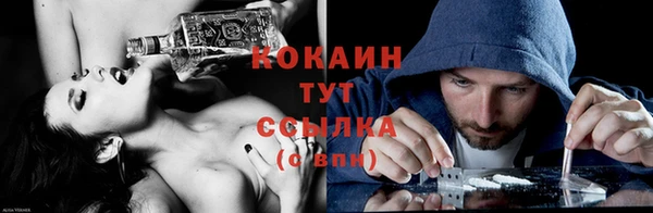 дживик Ладушкин