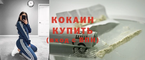 ГАЛЛЮЦИНОГЕННЫЕ ГРИБЫ Лагань
