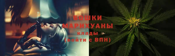 ГАЛЛЮЦИНОГЕННЫЕ ГРИБЫ Лагань