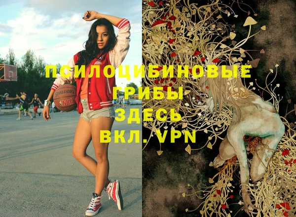 ГАЛЛЮЦИНОГЕННЫЕ ГРИБЫ Лагань
