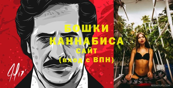 ГАЛЛЮЦИНОГЕННЫЕ ГРИБЫ Лагань