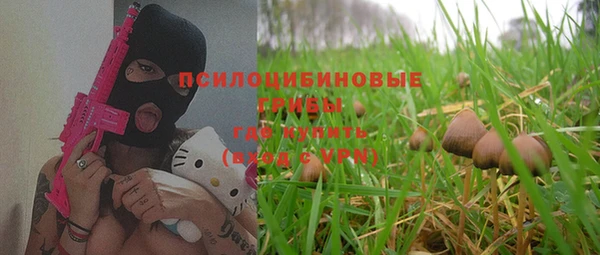 ГАЛЛЮЦИНОГЕННЫЕ ГРИБЫ Лагань