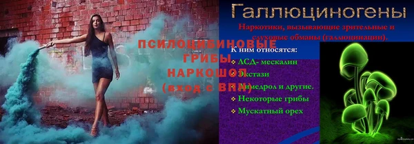 дживик Ладушкин
