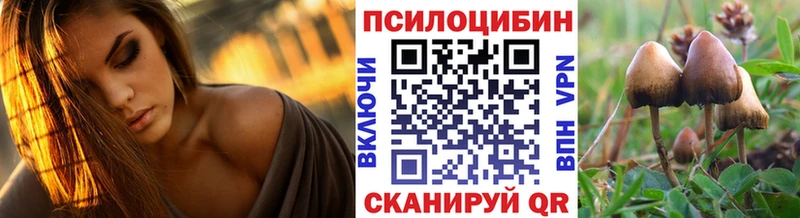Псилоцибиновые грибы Magic Shrooms  Купить где  Камызяк 